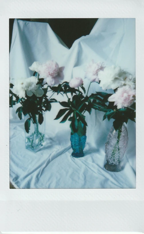 a group of flowers are in some blue glass vases