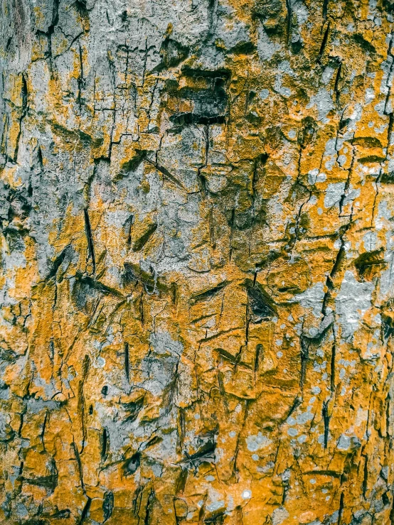 an old weathered wooden panel is yellow and black