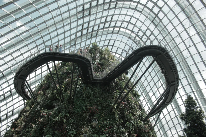 the indoor walkway and tree is designed like a giant snake