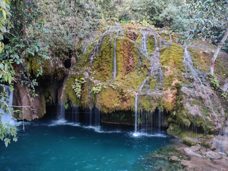 a river that is running through a forest