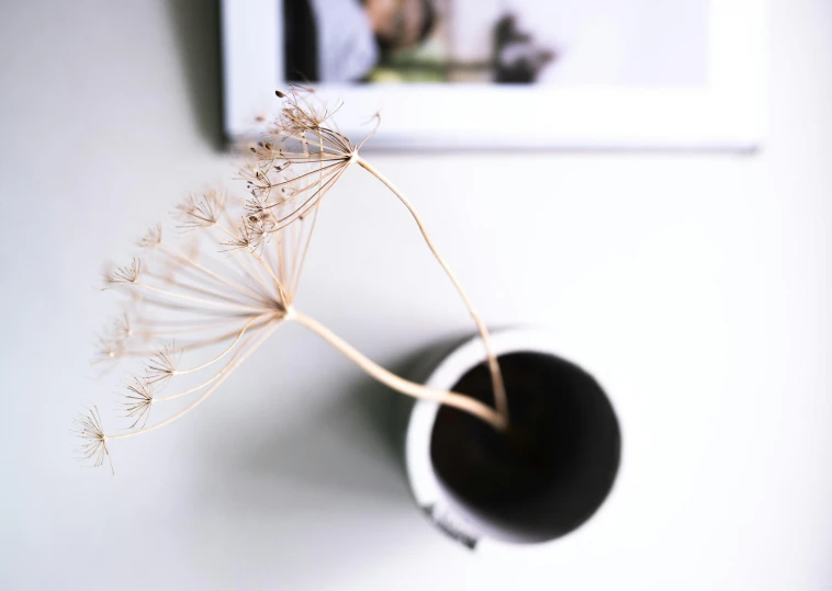 a dandelion flower sits in a vase beside a framed pograph