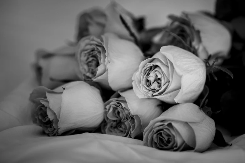 a bunch of roses sitting on top of a white blanket