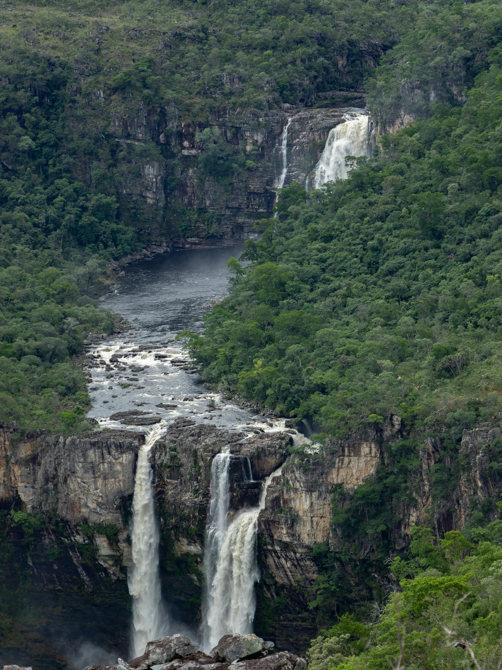 there is a waterfall surrounded by trees and shrubs