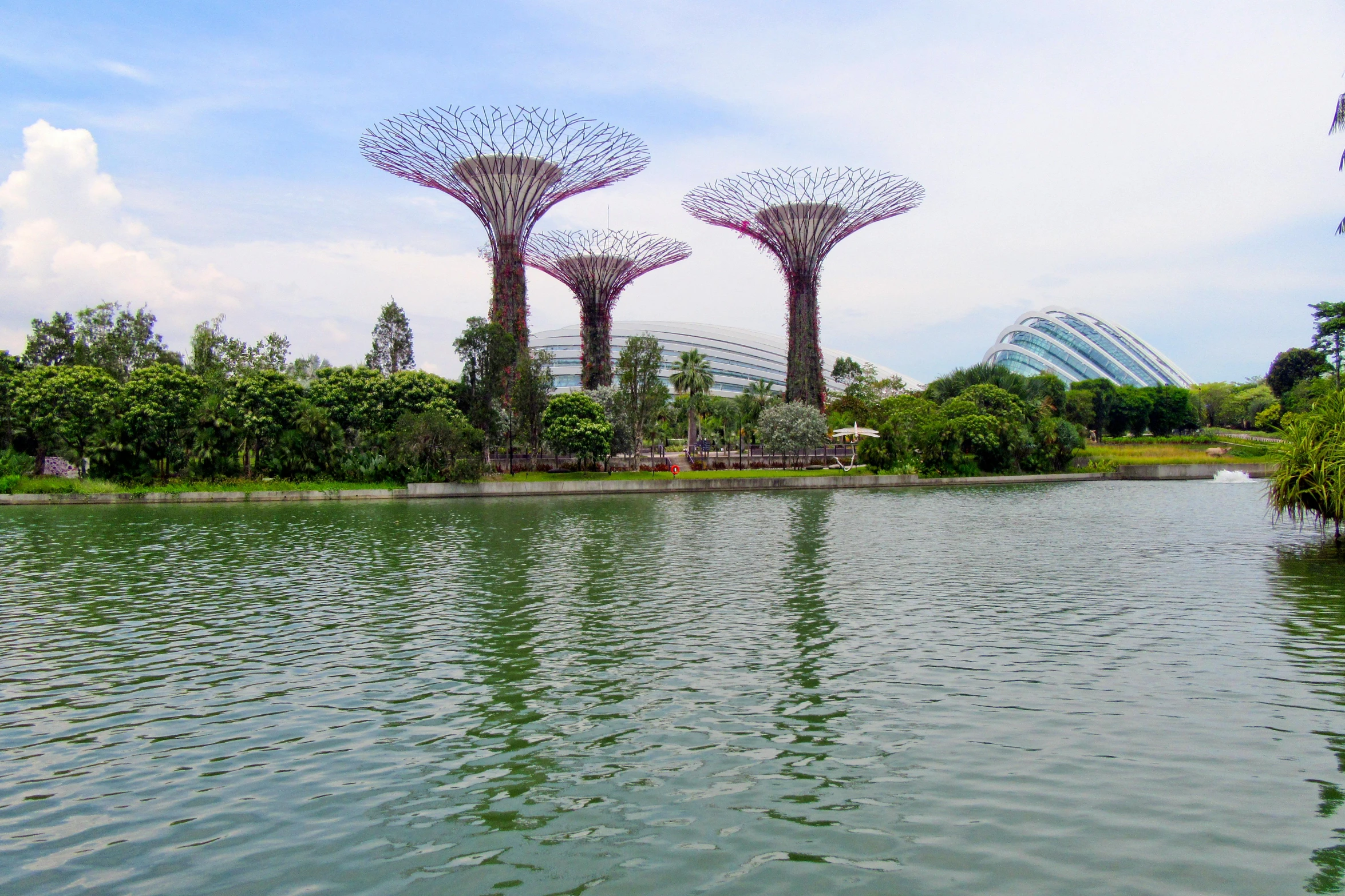 four trees shaped like birds are near the water