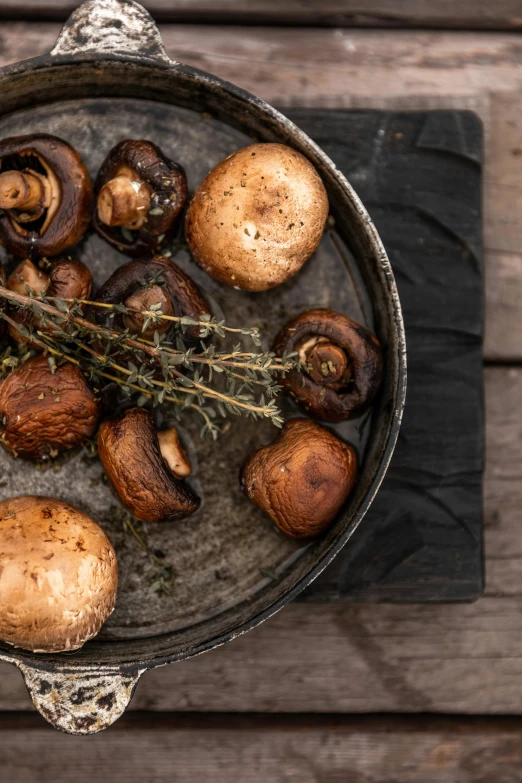 mushrooms in a pan with weeds on a wooden surface