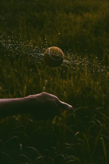 a hand in a field throwing some water at soing