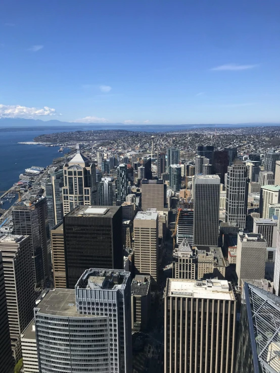 view of city and water from top of building