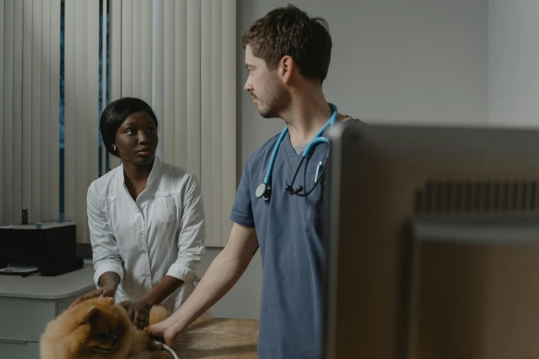 the vet is checking on the woman's pet