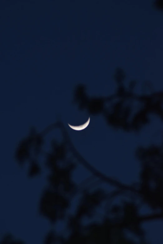 an image of the moon taken from below