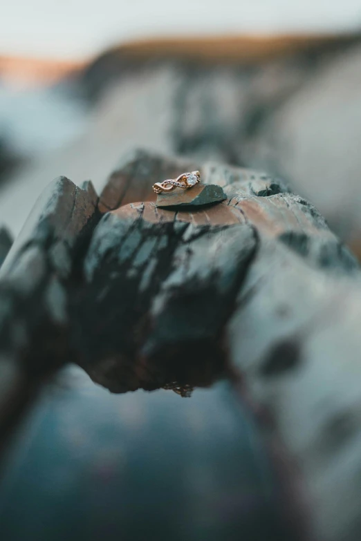 two wedding rings resting on a rock in the mountains