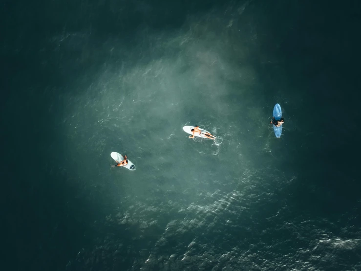three people paddling on surfboards in the ocean