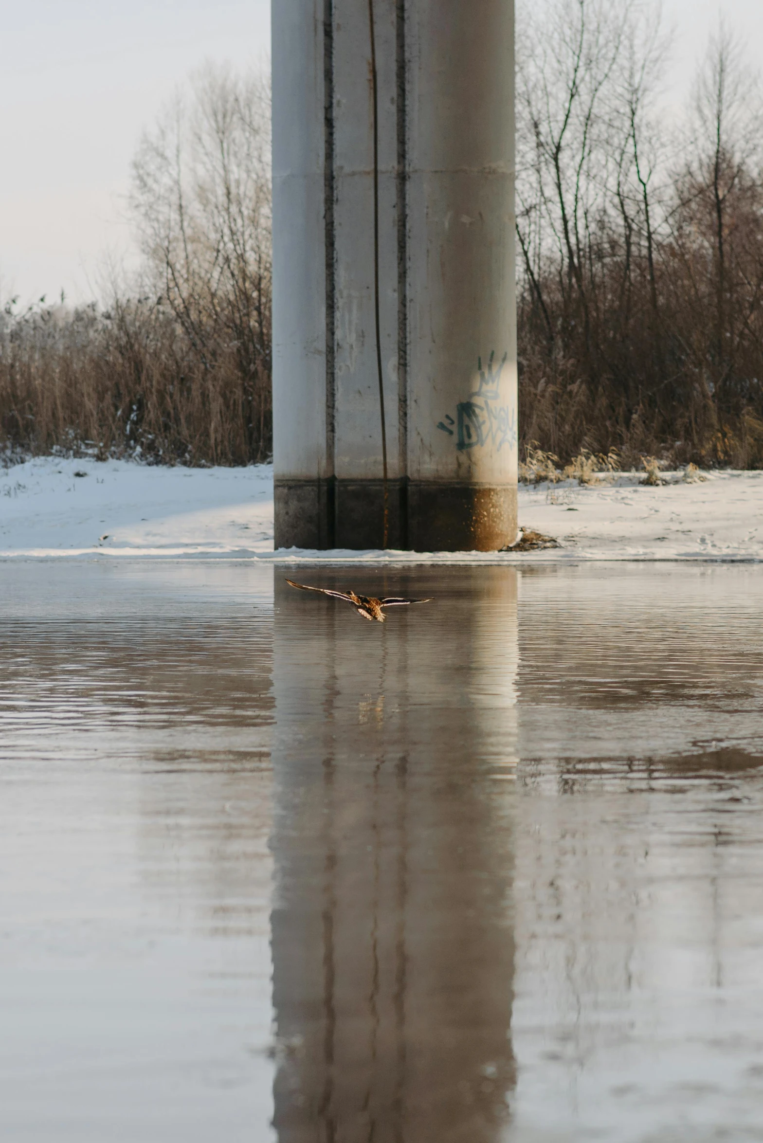 an industrial pipe sitting on the side of a frozen lake