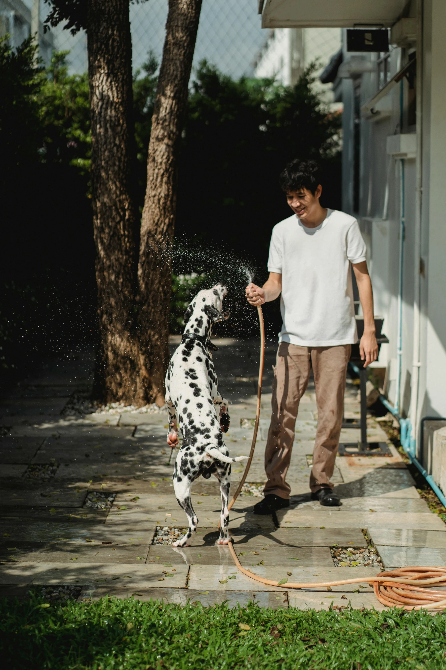 a man walks with his dog and spraying water on it