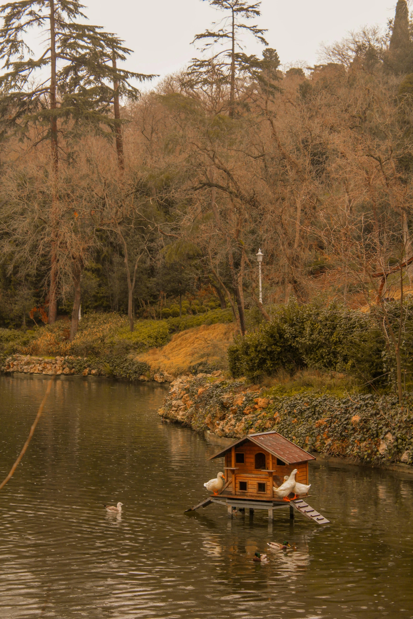 a small boat floating on top of a river next to a forest