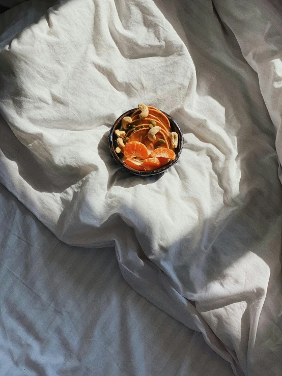 this looks like someones food sitting on top of the blanket