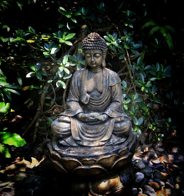 a sitting buddha statue in a forest setting