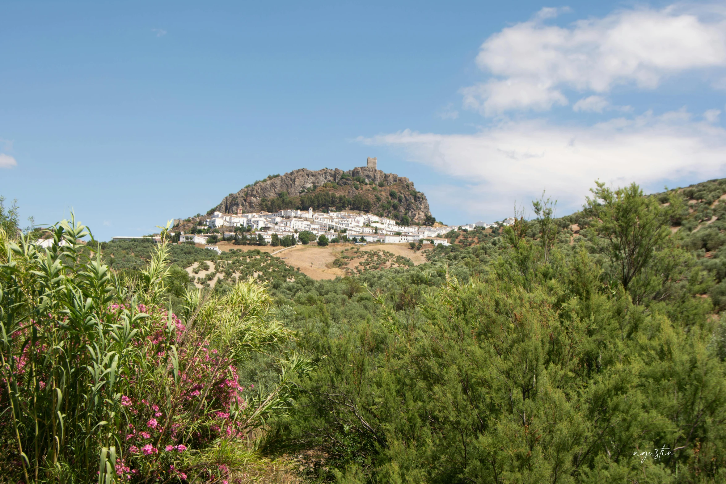 a very pretty hill by a bunch of trees