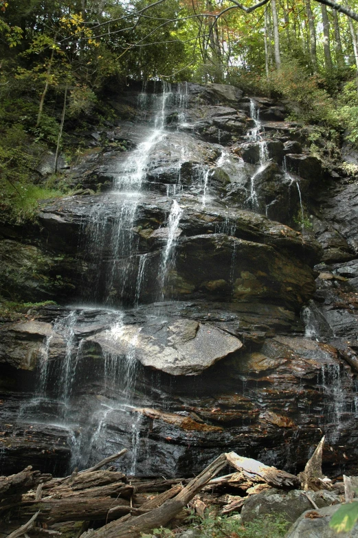 water cascading from a small waterfall surrounded by trees