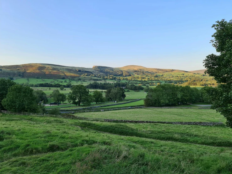 a green field with trees and mountains in the background