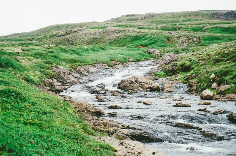 a beautiful view of a mountain stream and grass