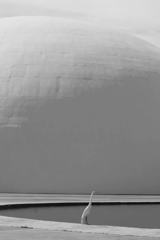 a big white dome with a bird standing in the water