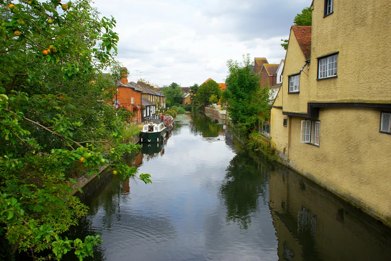 a river flows through an alley leading to many houses