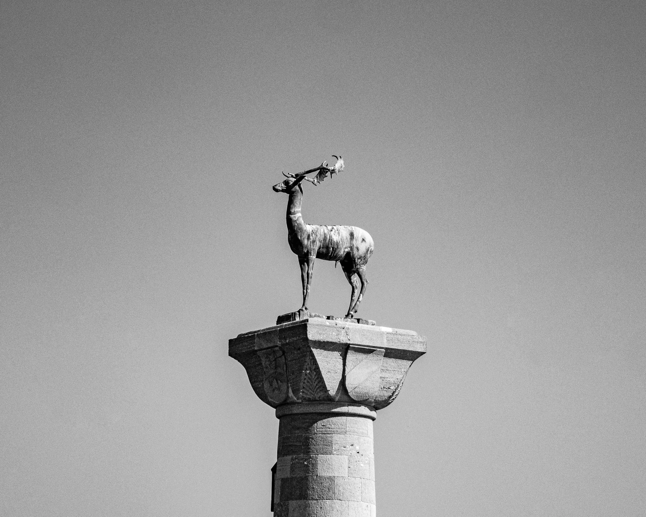 a tall statue with a flower and some plants on it