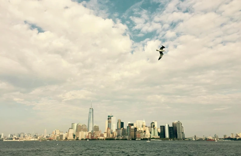 an ocean in front of a city skyline and a bird flying over it
