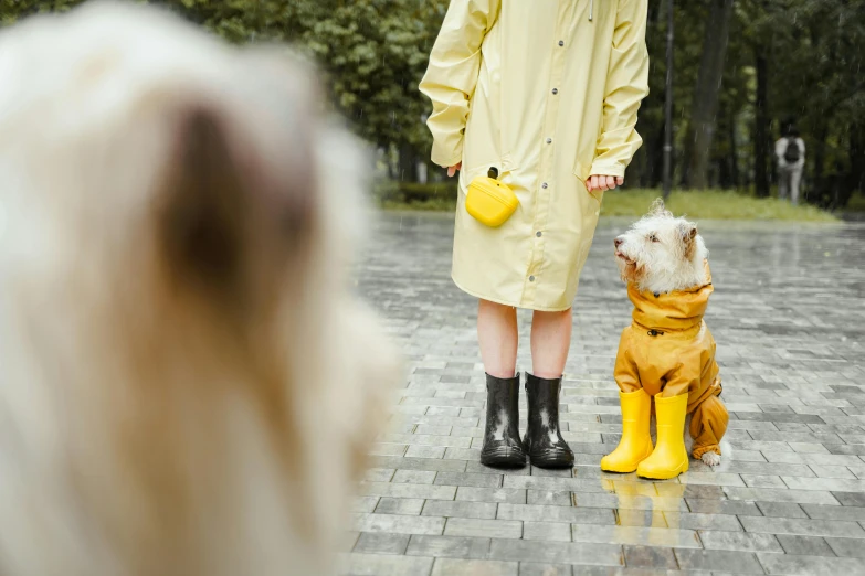 a small dog and a man dressed in yellow boots