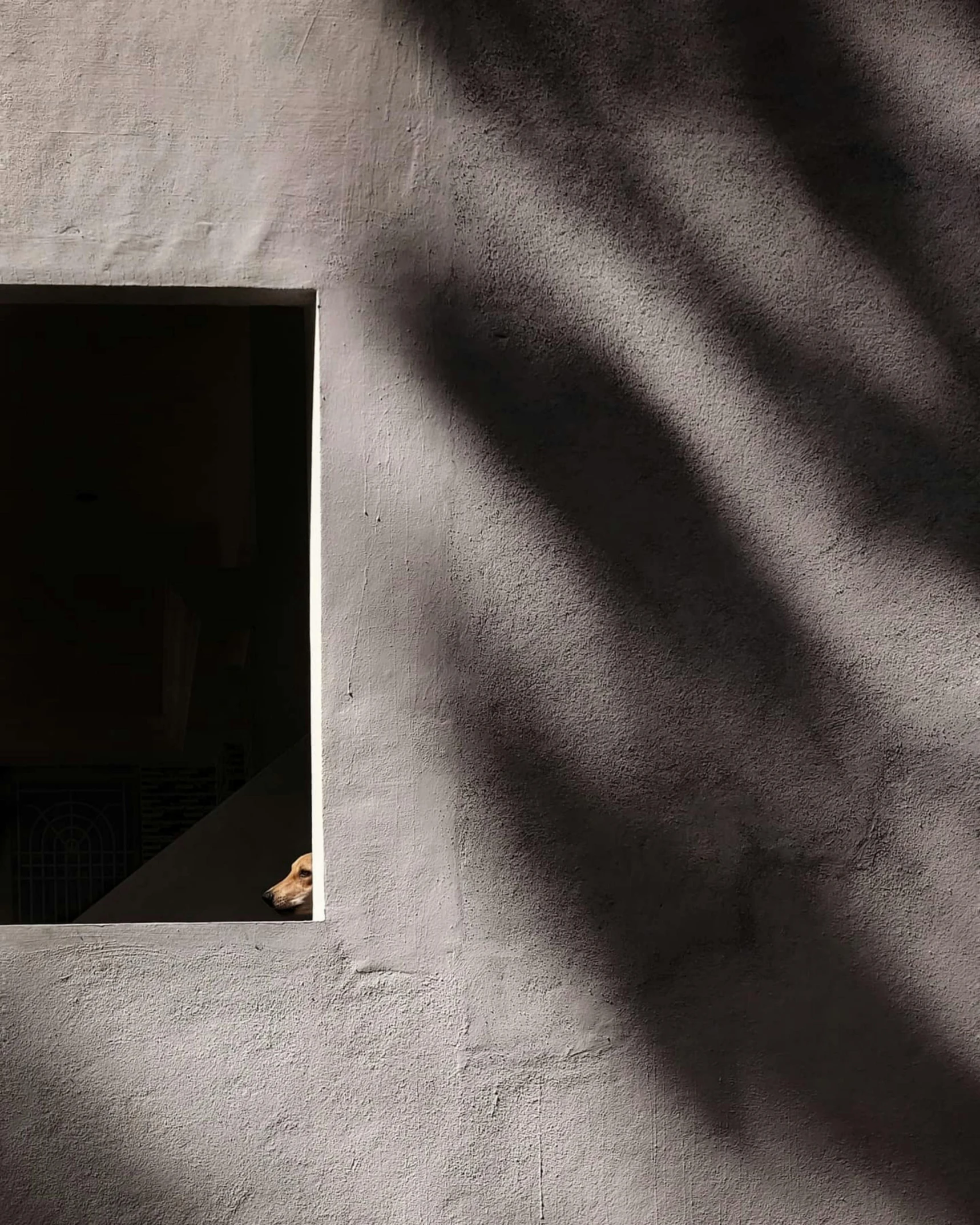 a window is shown in the side of a cement building