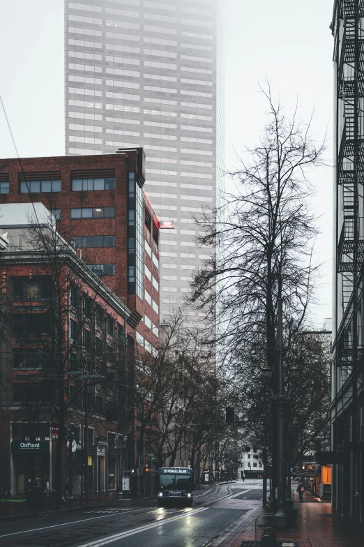 a city street with trees in the foreground and tall buildings behind