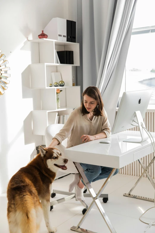 a woman is sitting at a desk with a dog