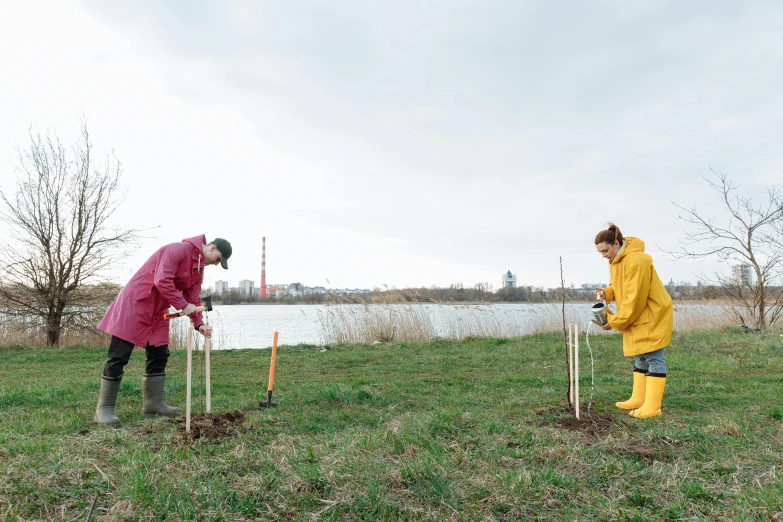 two people wearing rubber boots are putting trees into the ground