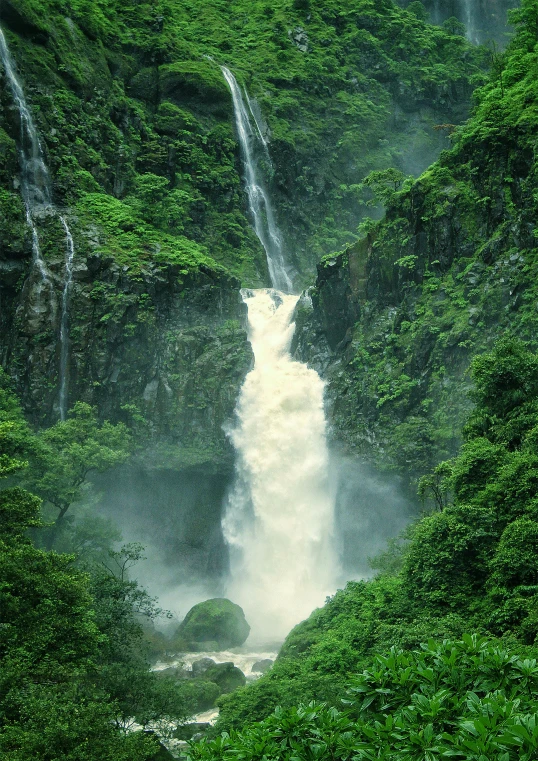 water falling into the air with plants and trees surrounding