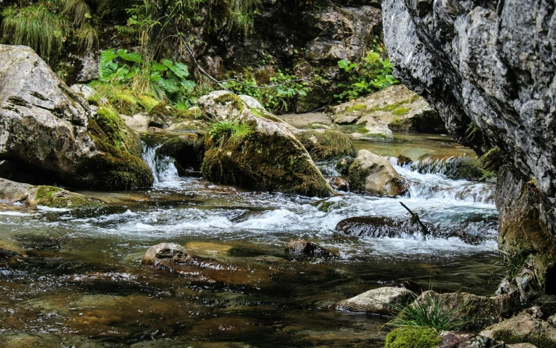 a river running through some rocks in the middle of a forest