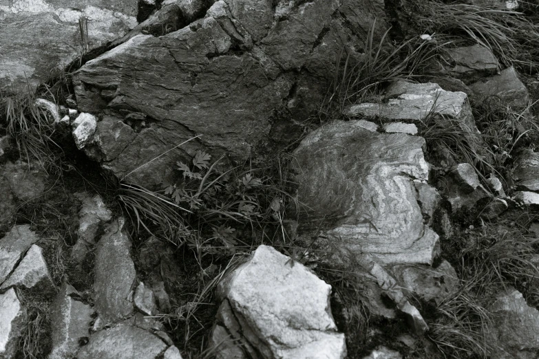 black and white pograph of rock on ground