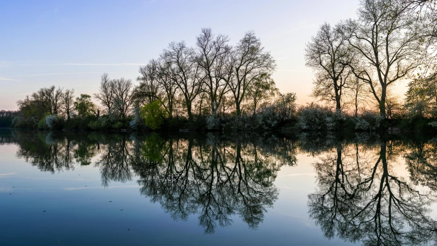 a clear water body of water surrounded by trees