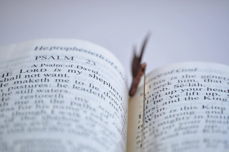 close up of a person holding up the bible open to prove