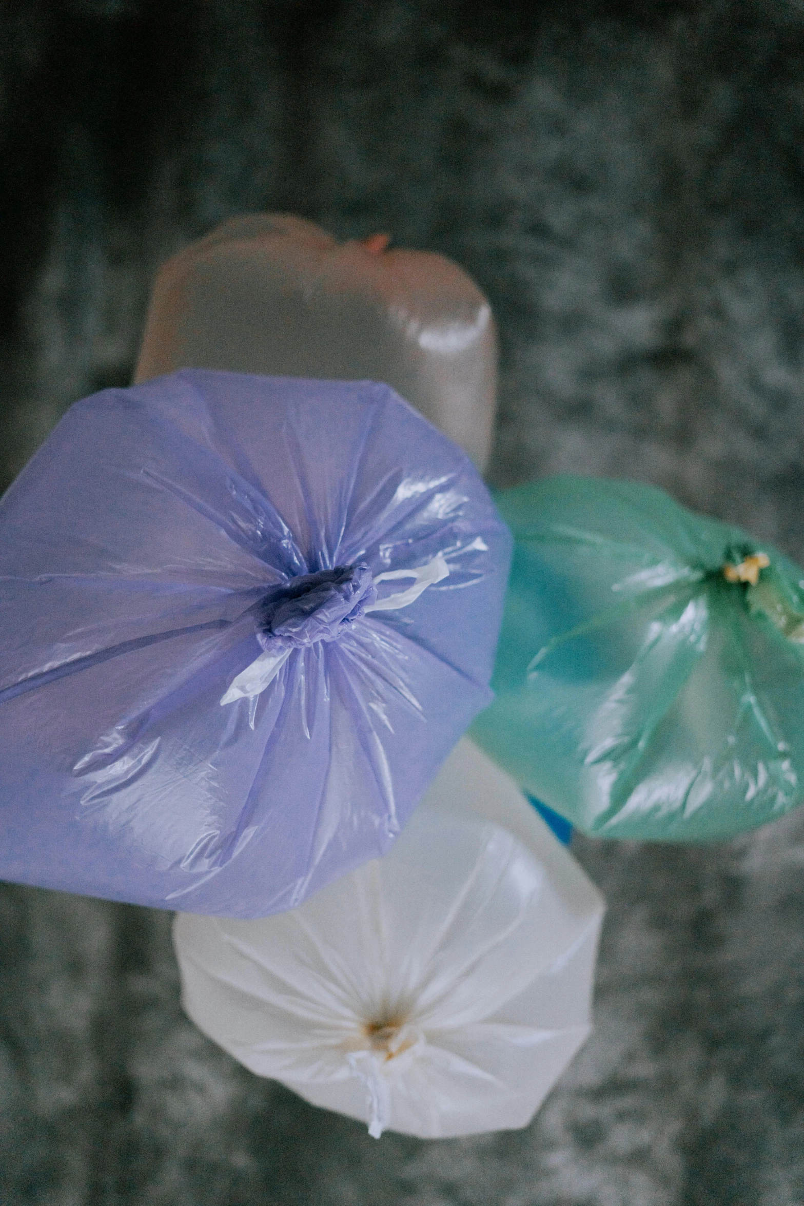 three flowers in purple, green and white