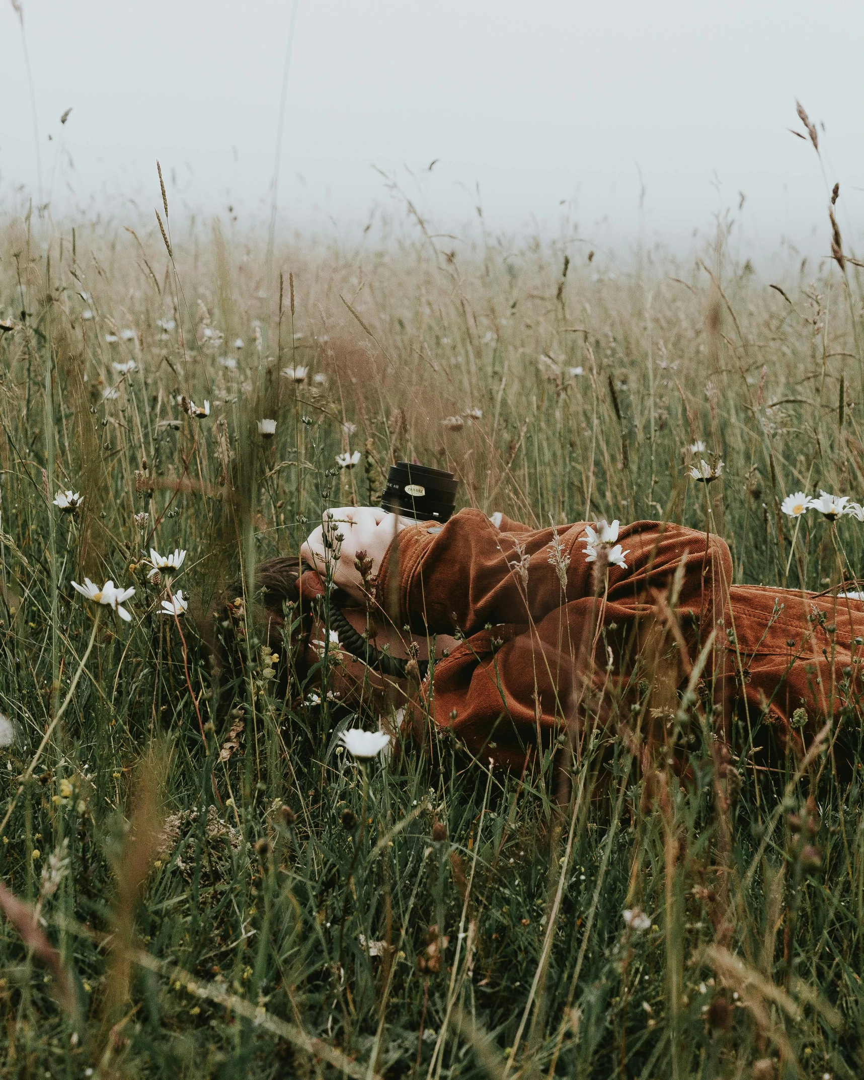 an animal with an object on it laying in the middle of tall grass