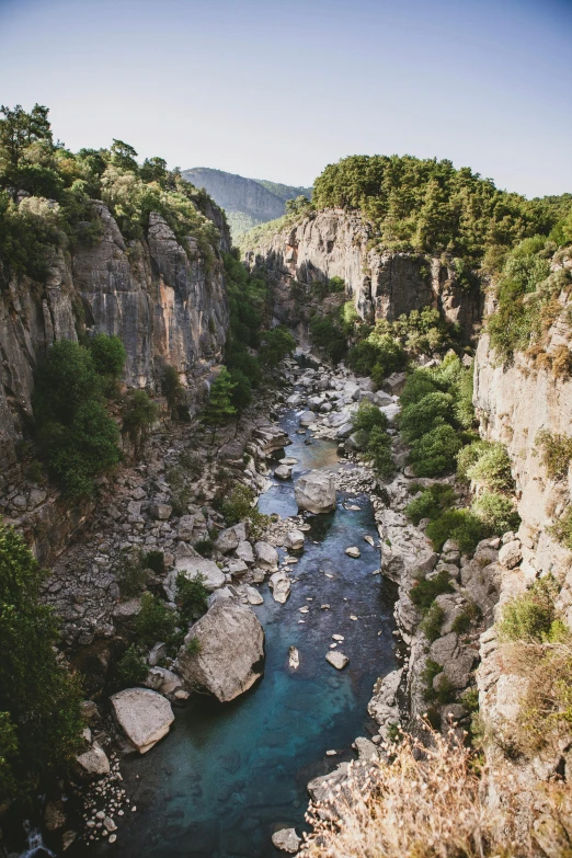 a mountain stream surrounded by trees in the middle of the desert