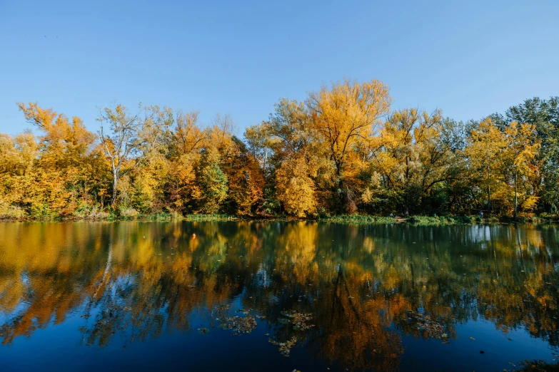 colorful autumn trees reflected in a body of water