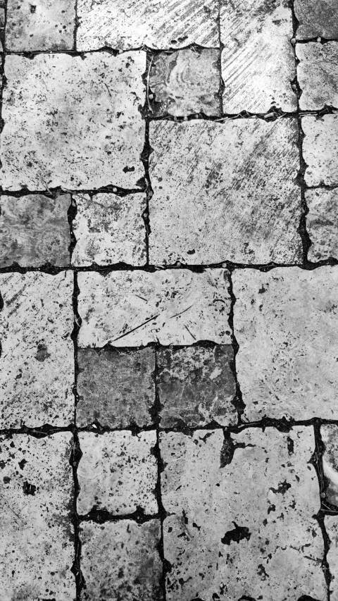 an older stone walkway is lined with dark s