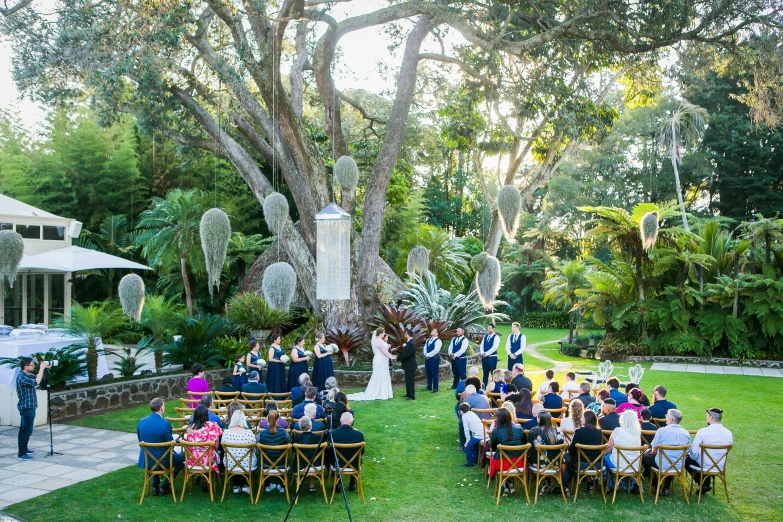 a wedding party in front of a huge tree