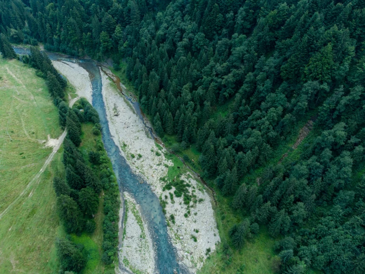 the river is running beside a wooded area