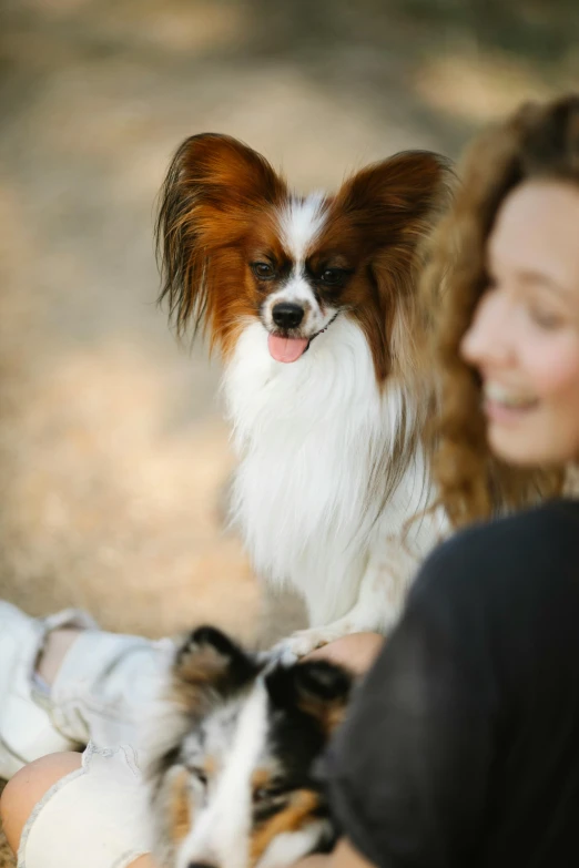 woman sitting with two dogs on the ground in the park