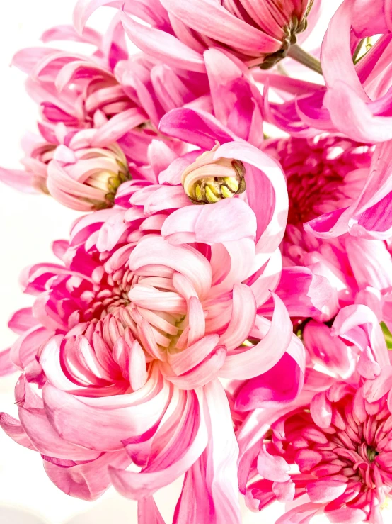 a bouquet of flowers are on the table