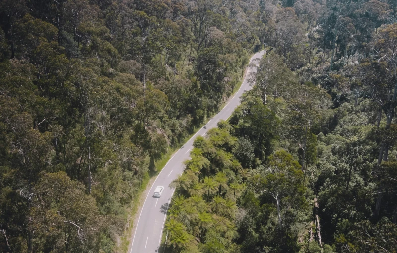 car driving down road surrounded by forest on top of hill