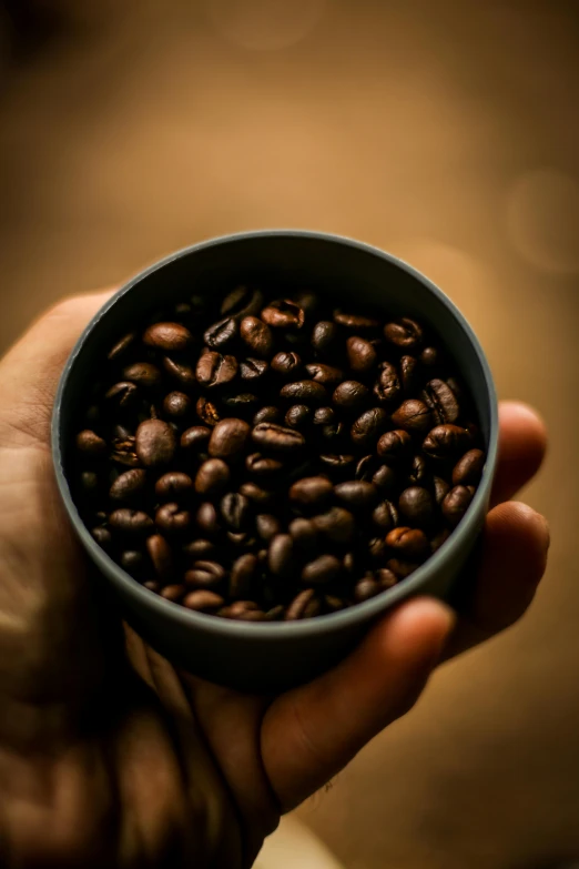a hand holding a blue cup filled with dark colored coffee beans
