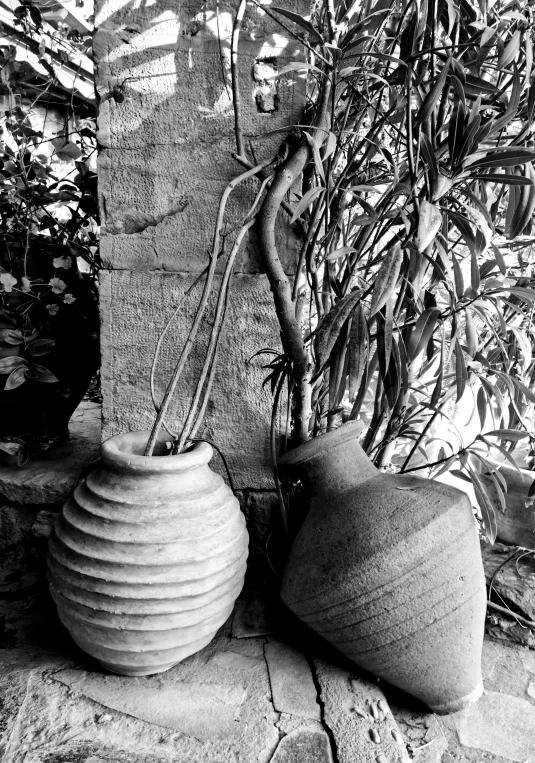 two stone vases next to a plant in the ground